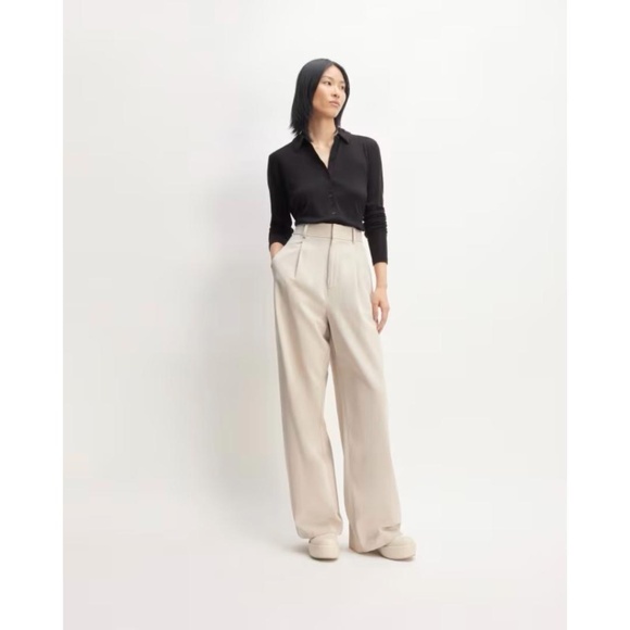 Everlane Pants - EVERLANE The Draper Pleated Pant 6S NWT